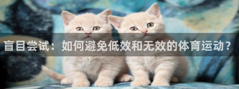 七星体育直播nba7live相关：盲目尝试：如何避免低效和无效的体育运动？