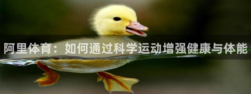 七星体育属于什么档次