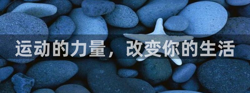 七星体育直播现场直播新浪：运动的力量，改变你的生活