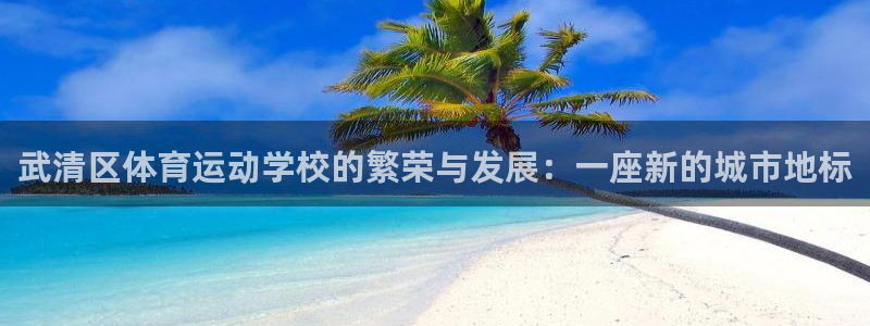 七星体育属于什么档次：武清区体育运动学校的繁荣与发展：一座新的城市地标