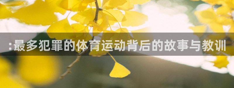 七星体育男主持